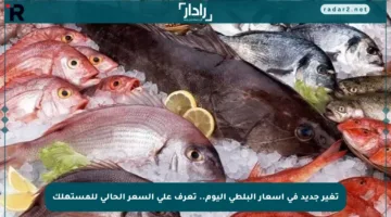 تغير جديد في أسعار البلطي اليوم.. تعرف على السعر الحالي للمستهلك